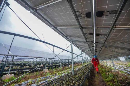 中國十三省最大光伏電站在這里！欽州康熙嶺的光伏電站能排上號了嗎？